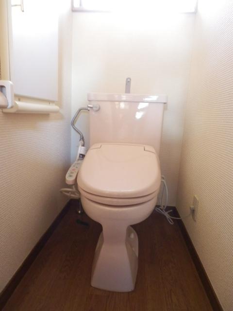 Toilet. Indoor (January 2014) Shooting