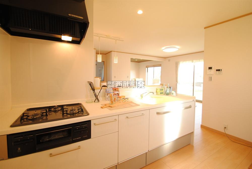 Kitchen. Indoor (11 May 2013) Shooting