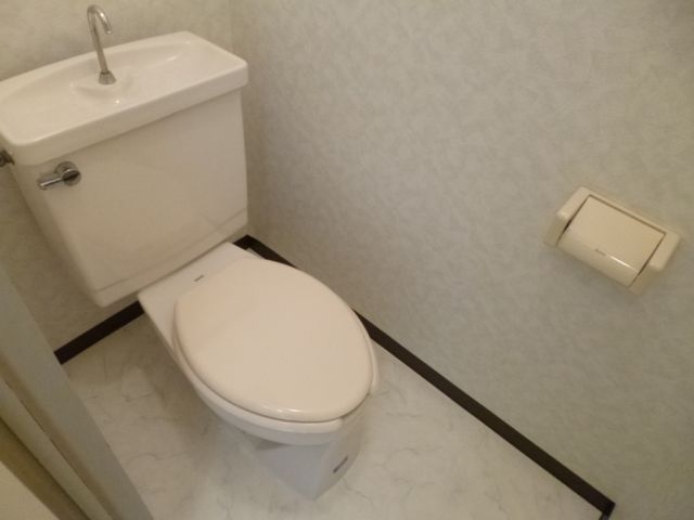 Toilet. Is a beautiful toilet in which the white tones