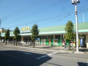 Supermarket. Inageya to (super) 550m