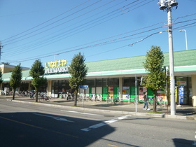 Supermarket. Inageya 250m until the (super)