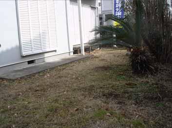 Garden. Local (February 2013) Shooting