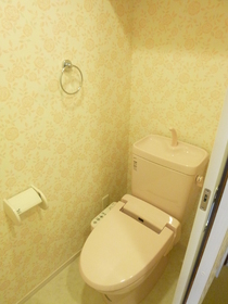 Toilet. It is with warm water washing toilet seat