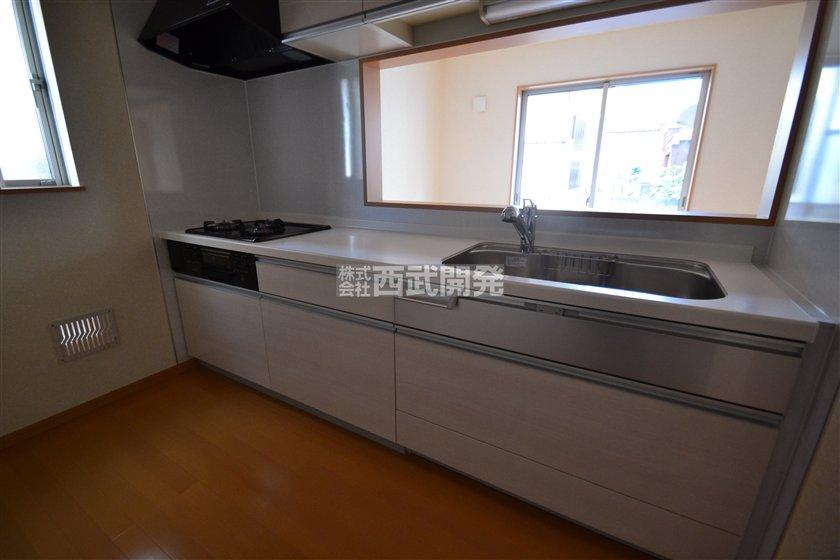 Kitchen. Indoor (12 May 2013) Shooting