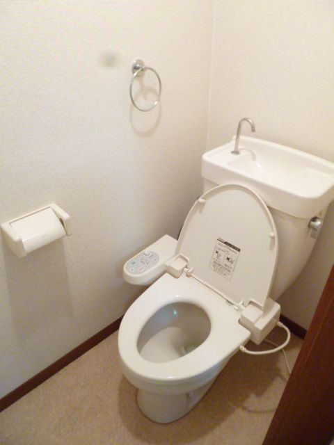 Toilet. Excitement because Washlet is attached.