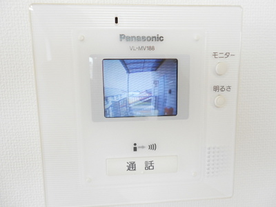 Security. Monitor with intercom