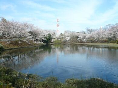 park. 968m until your Ise mound park