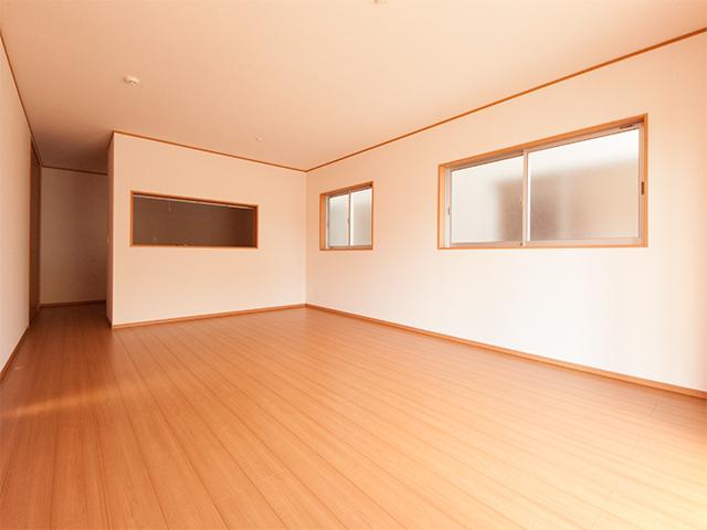 Living. Room (August 2013) Shooting