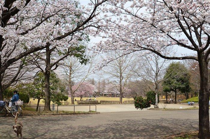 park. 1900m to your Ise mound park