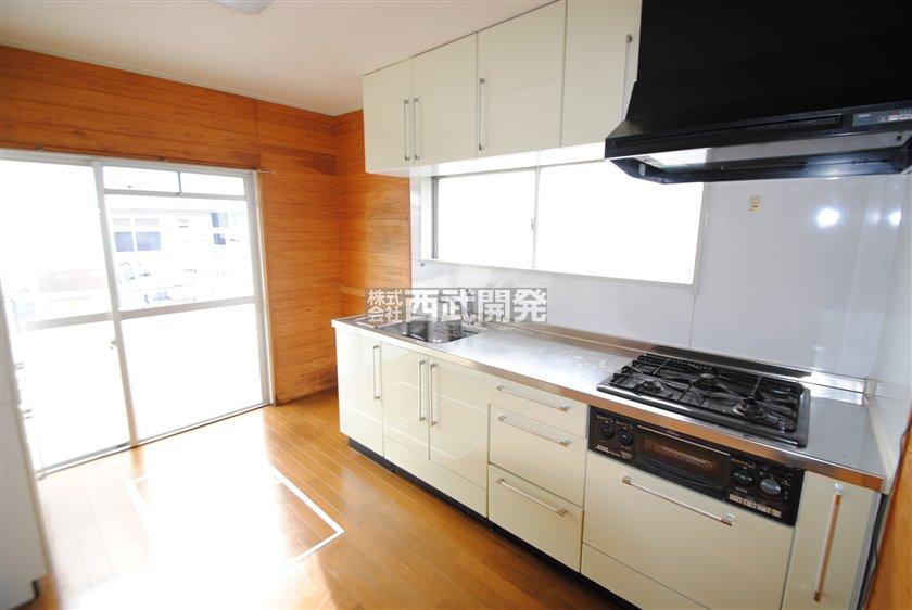 Kitchen. Indoor (12 May 2013) Shooting