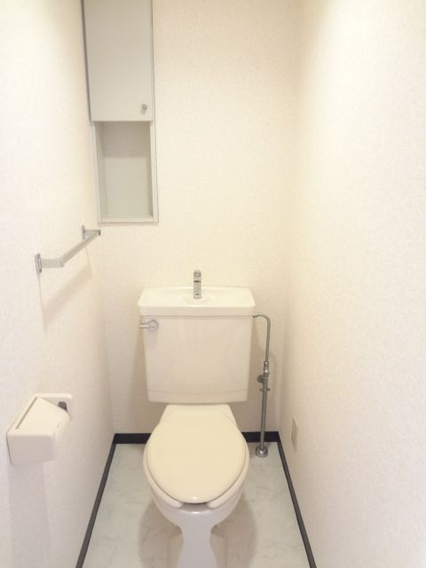 Toilet. Convenient storage shelf with