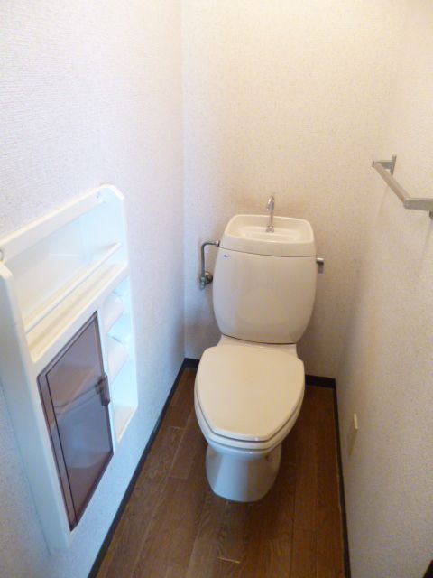 Toilet. Convenient paper holder and a shelf with ☆ 