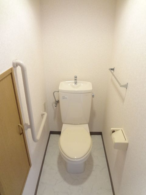 Toilet. Convenient storage shelf with