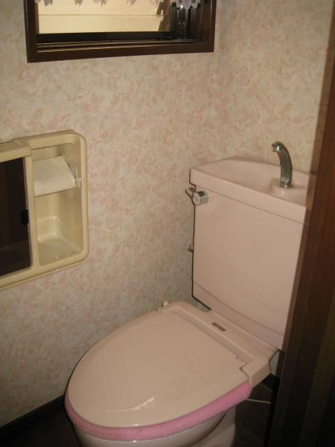 Toilet. Indoor (10 May 2013) Shooting
