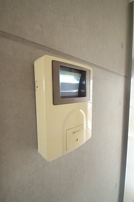 Security.  Crime prevention is with TV Intercom!