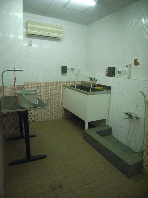 Other Equipment. Grooming room for pets