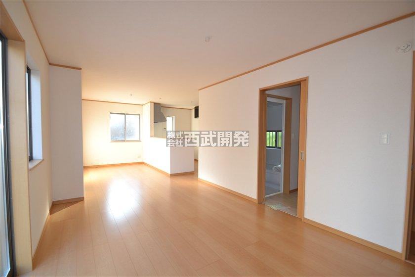 Living. Room (August 2013) Shooting