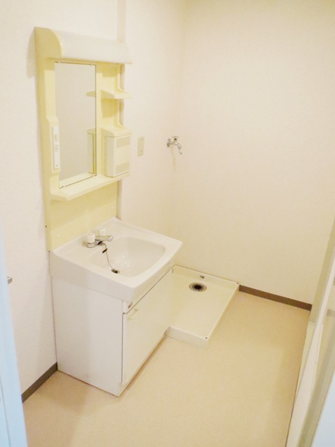 Washroom. Washbasin + washing machine inside the room