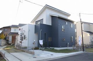 Local appearance photo. Local (11 May 2013) Shooting