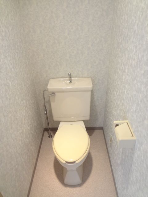 Toilet. Since the power supply there can also be given a bidet