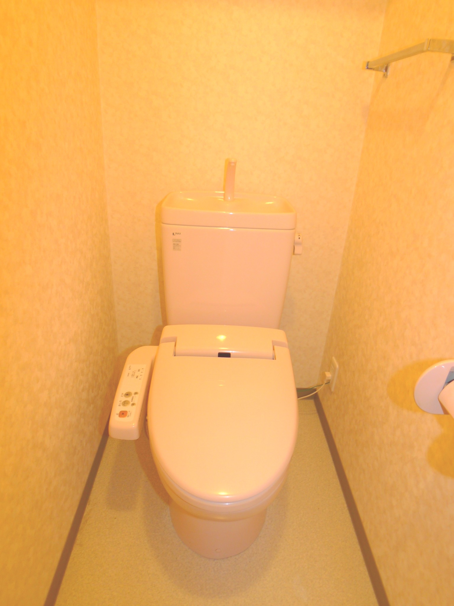 Toilet. Bidet