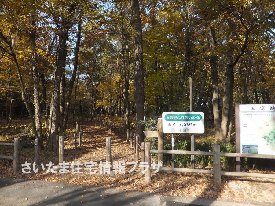 Other. Forest of Musashino petting