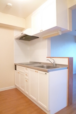 Kitchen. ※ 202, Room photo diversion / Current Status confirmation necessity