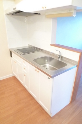 Kitchen. ※ 202, Room photo diversion / Current Status confirmation necessity