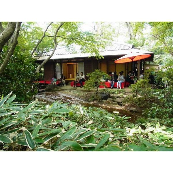 park. 755m to petting sidewalk Kawaguchi Green Center in Chaya