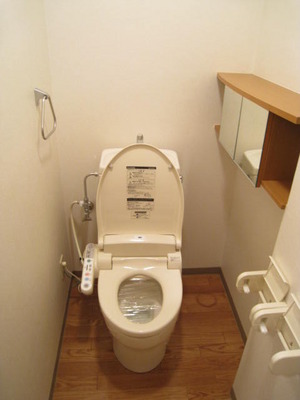 Toilet. Warm water cleaning toilet seat with