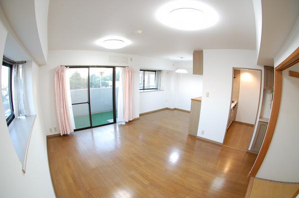 Living. South-facing living room