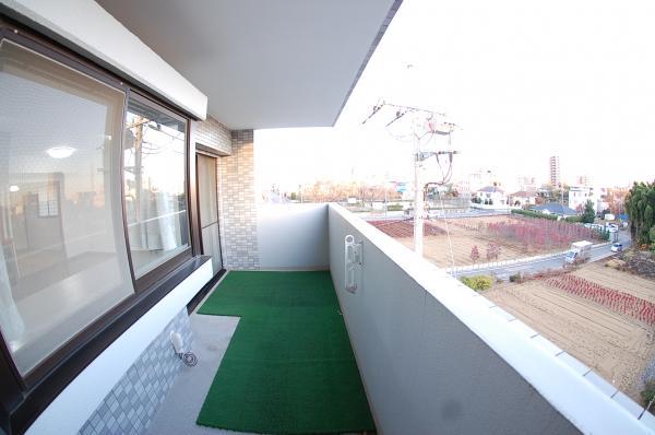 Balcony. South-facing balcony