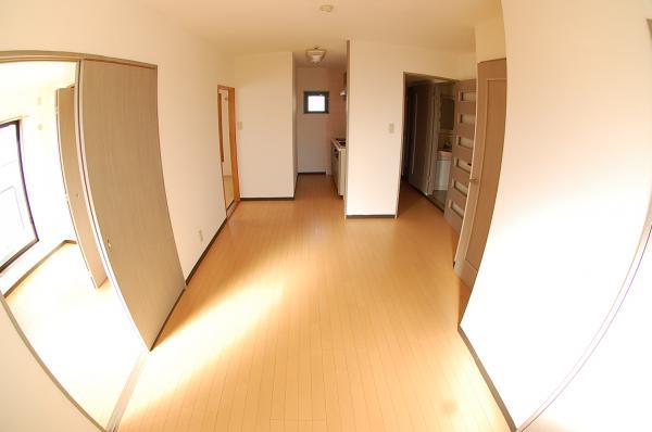 Living. South-facing living room