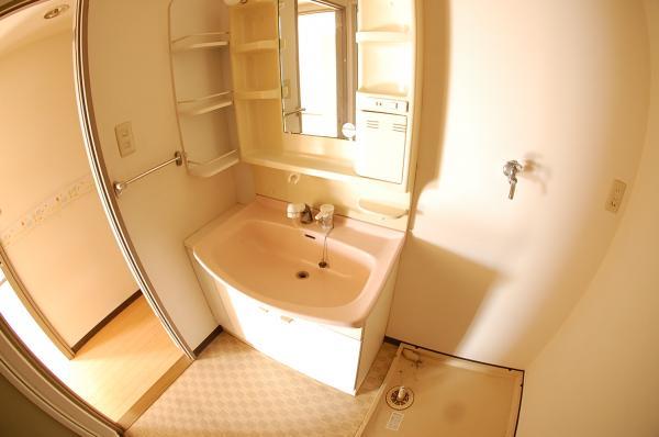 Wash basin, toilet. Wash basin with a shower of big success in the morning of the dressing