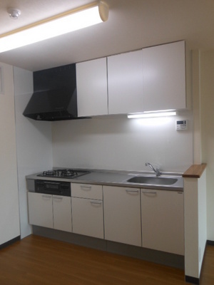 Kitchen. Kitchen