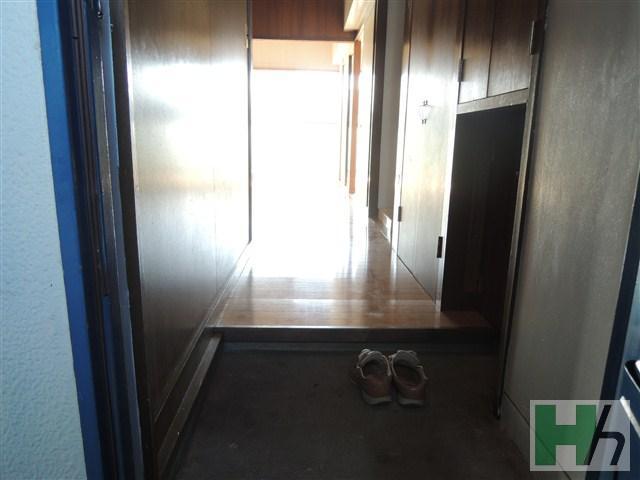 Entrance. Spacious living room flooring.