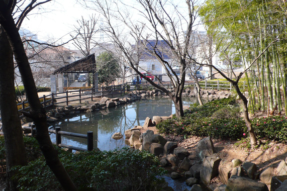Other Environmental Photo. Until Totsuka China and Taiwan park 360m lawn open space and wooded area, There splashing water sound pond, Small children also delight.