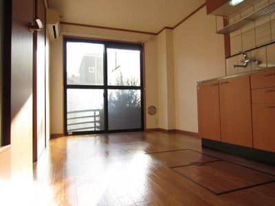 Living and room. South-facing sunny