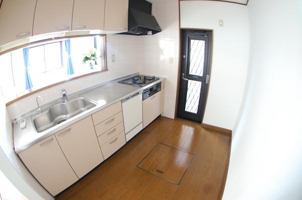 Kitchen. Dishwashers built-in system kitchen