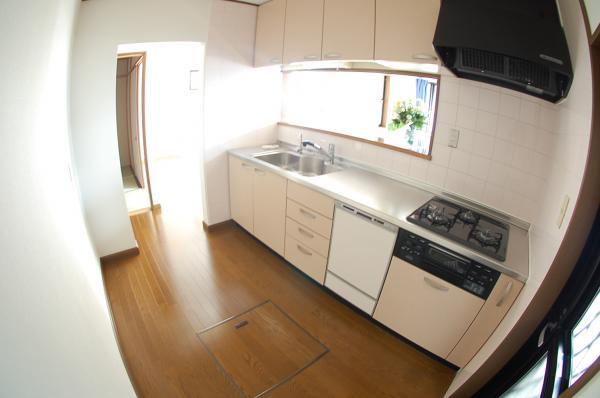 Kitchen. Face-to-face kitchen