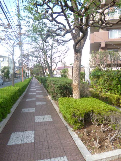 Local appearance photo. Local (10 May 2013) Shooting