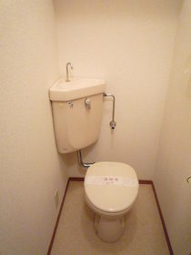 Toilet. Toilet
