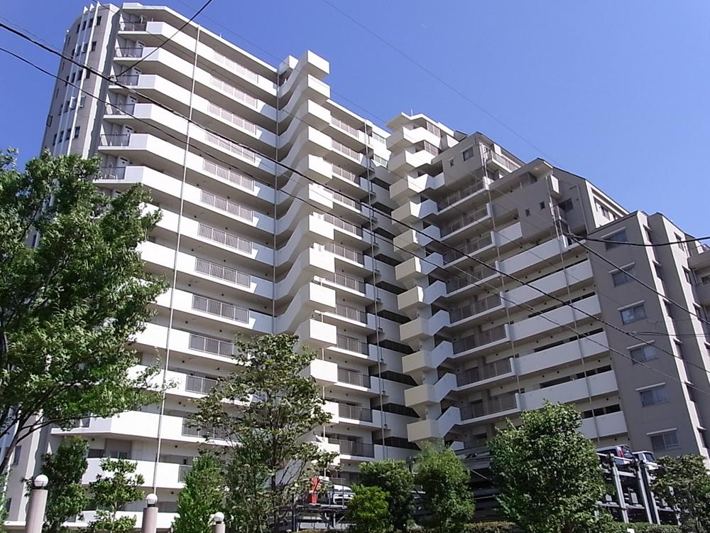 Local appearance photo. Local (May 2013) Shooting