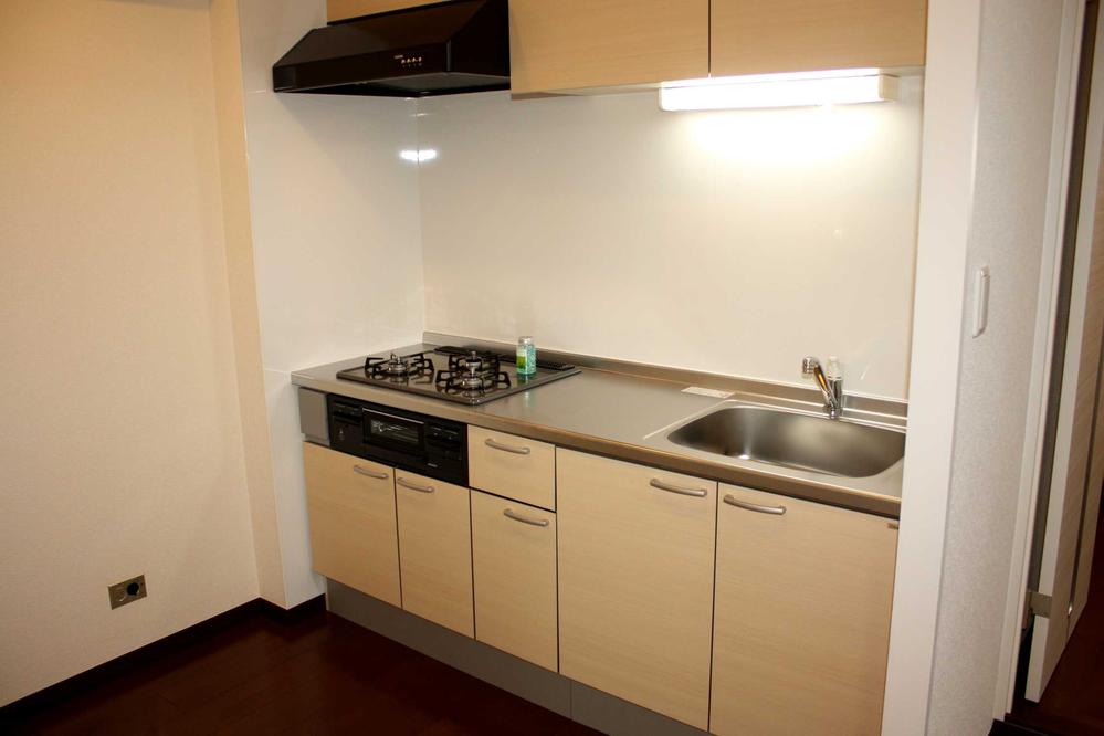 Kitchen. Indoor (11 May 2013) Shooting