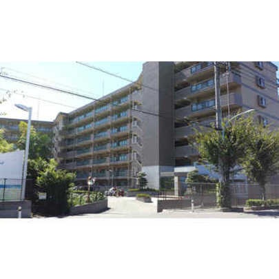 Local appearance photo. 2013 October 15 shooting