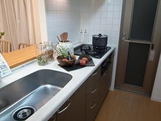 Kitchen. Stove burner Water purifier kitchen