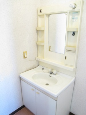 Washroom. Functional wash basin