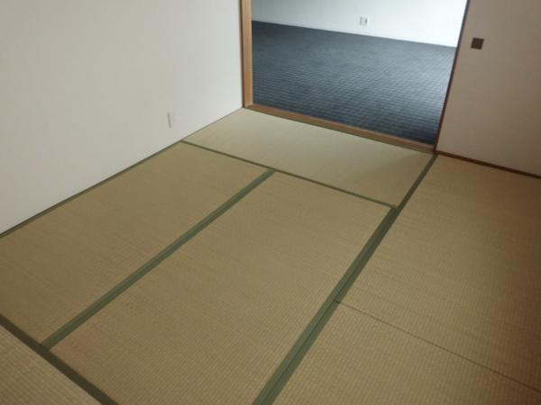 Non-living room. Japanese-style room that follow from living