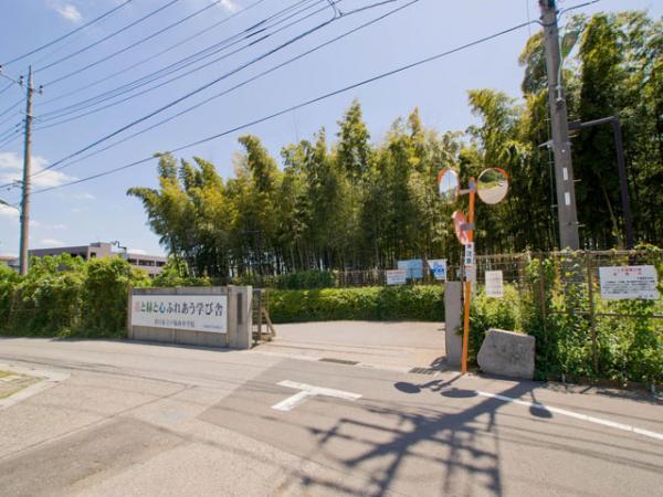 Junior high school. 2600m up to junior high school Kawaguchi Municipal Totsuka West Junior High School