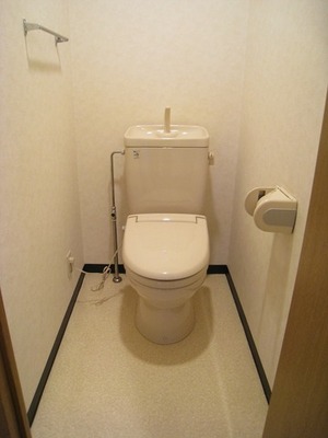 Toilet. There towel